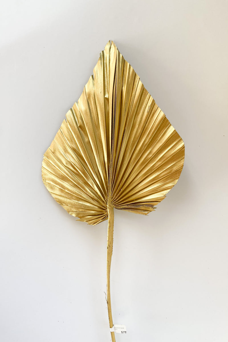 gold natural spear palm