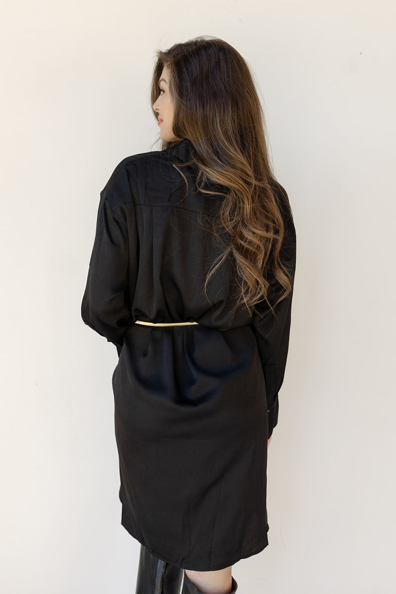 mode, sandi satin button down dress