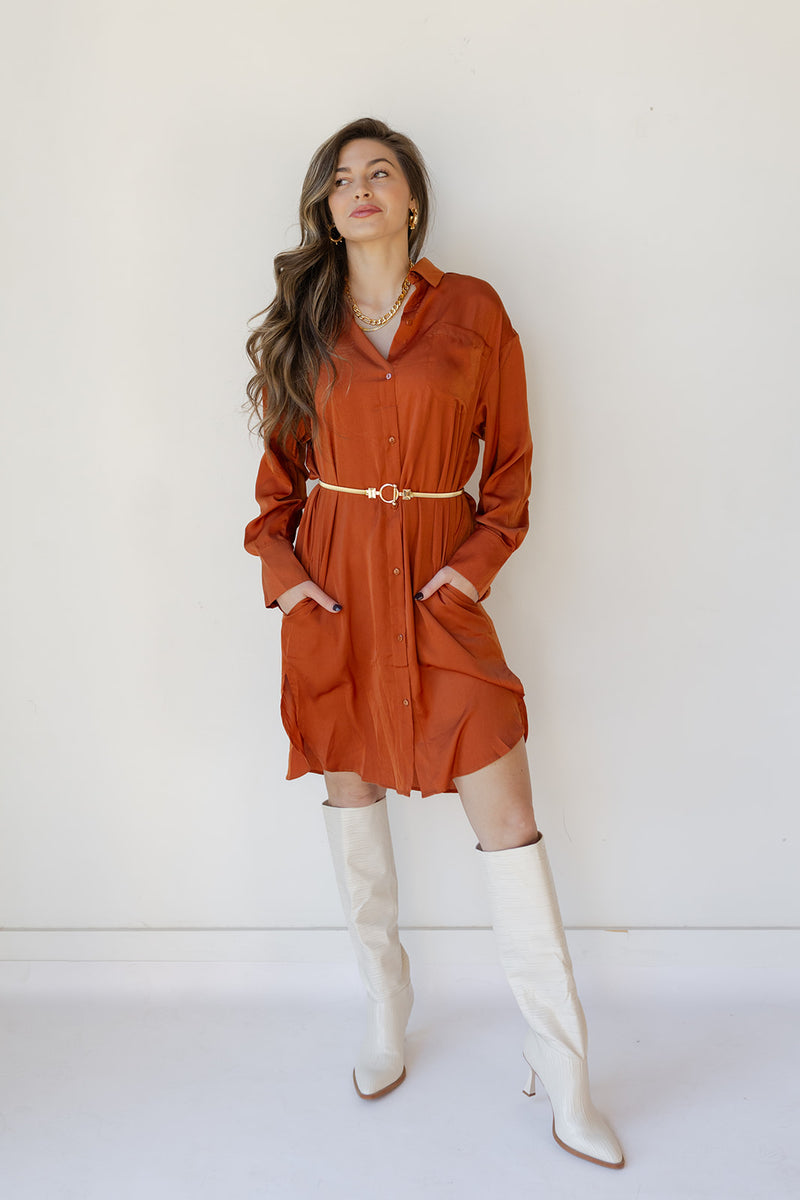 mode, sandi satin button down dress