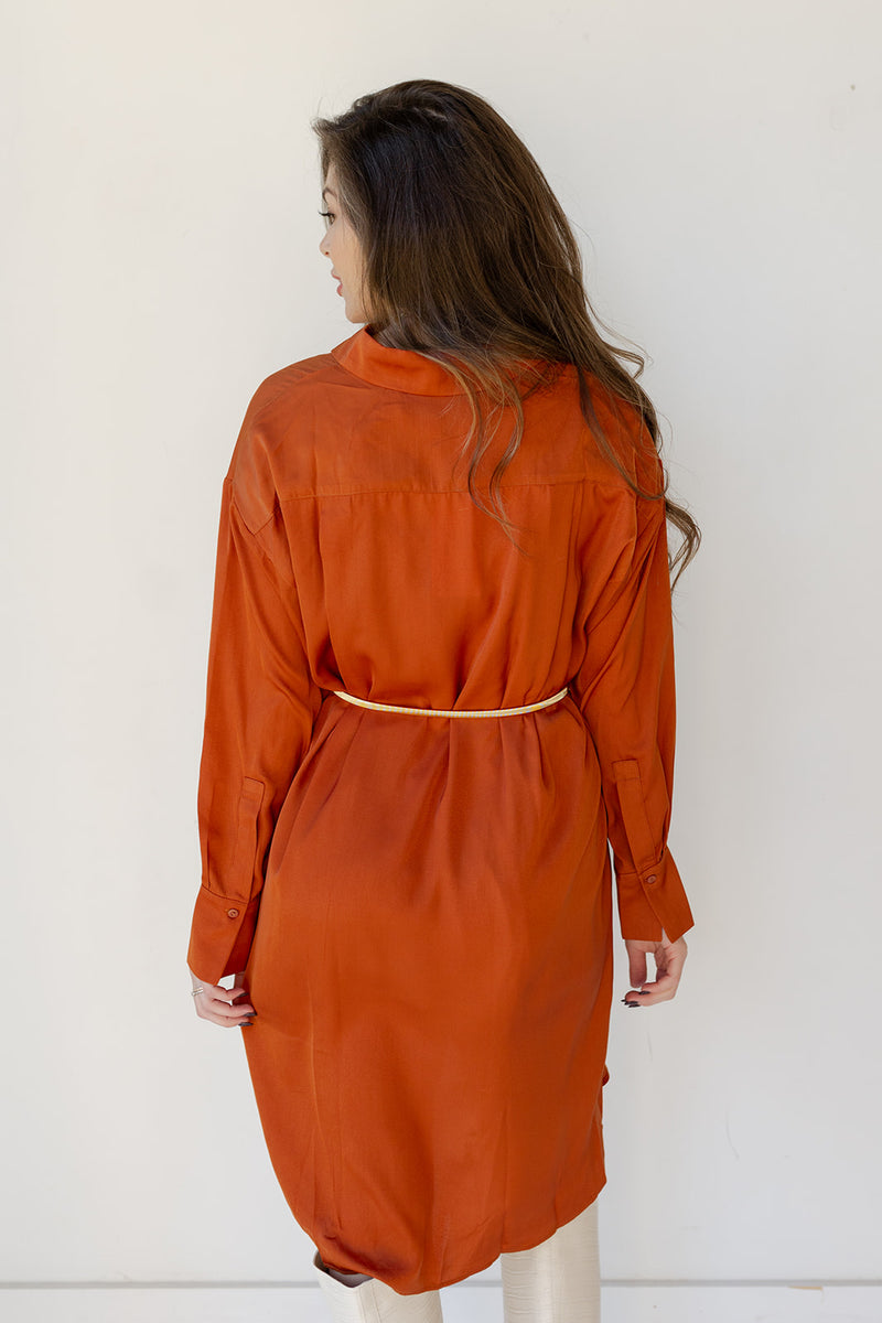 mode, sandi satin button down dress