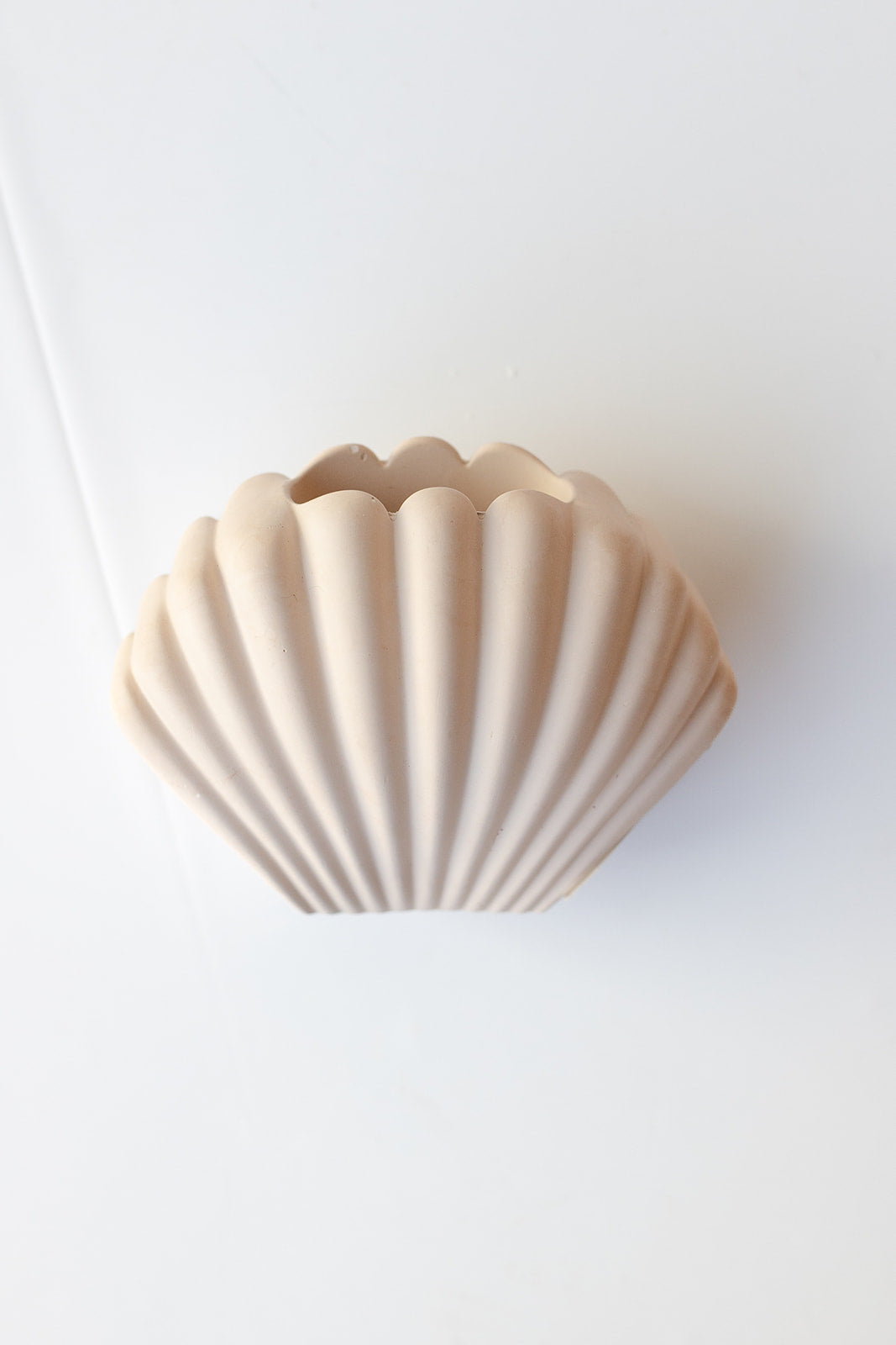 mode, shell vase