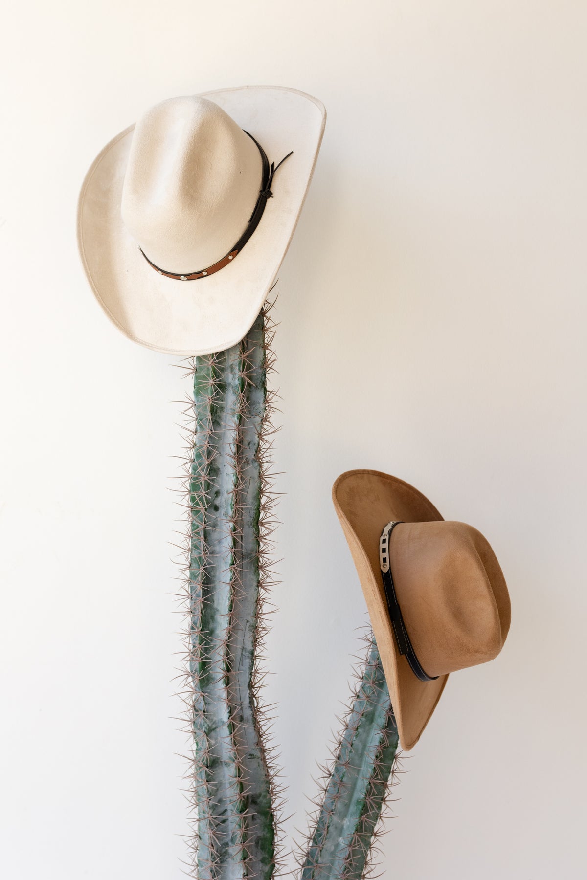 mode, dolly suede cowboy hat