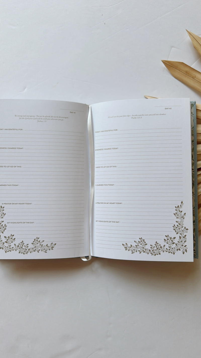 mode, more than gratitude journal