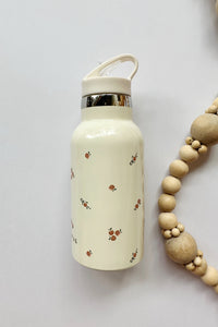 mode, pomme water bottle