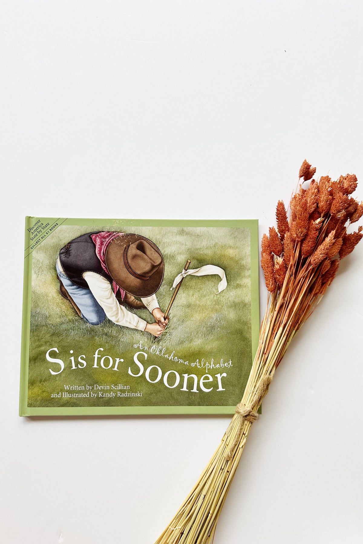 mode, s is for sooner book