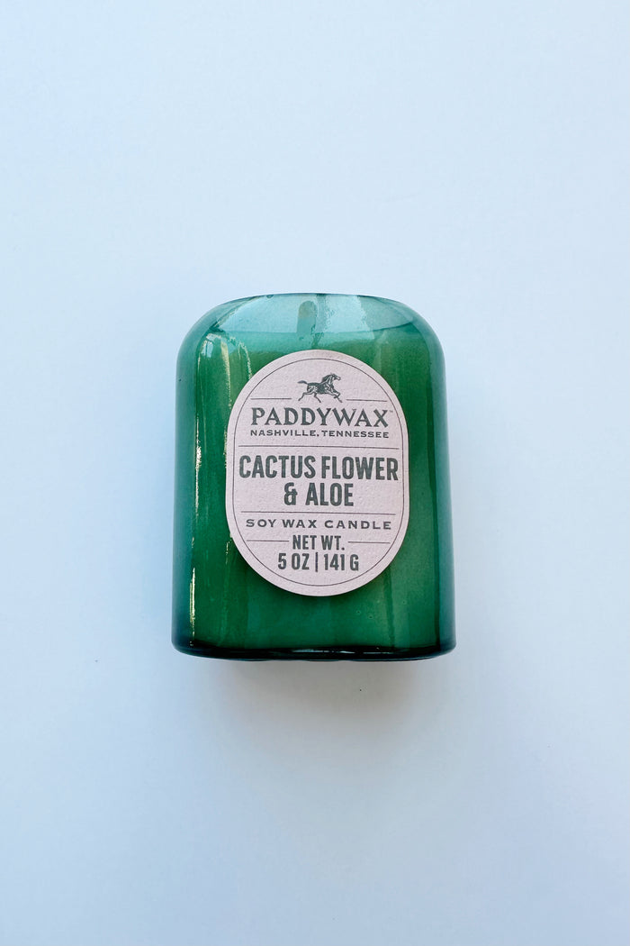 mode, vista candle, cactus flower + aloe