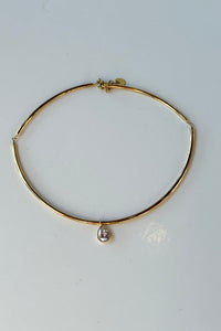 lenny drop collar