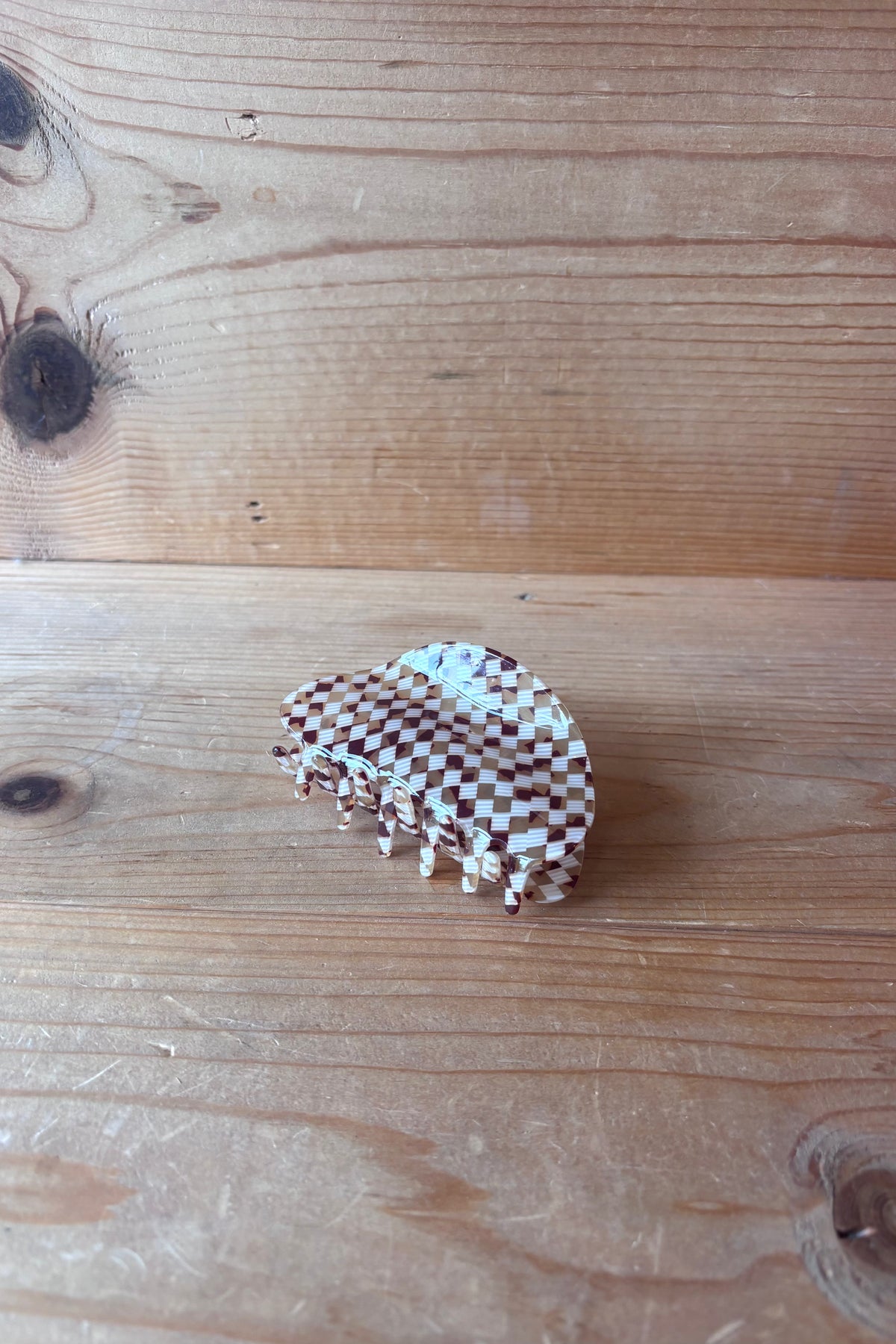 ari shell acetate clip