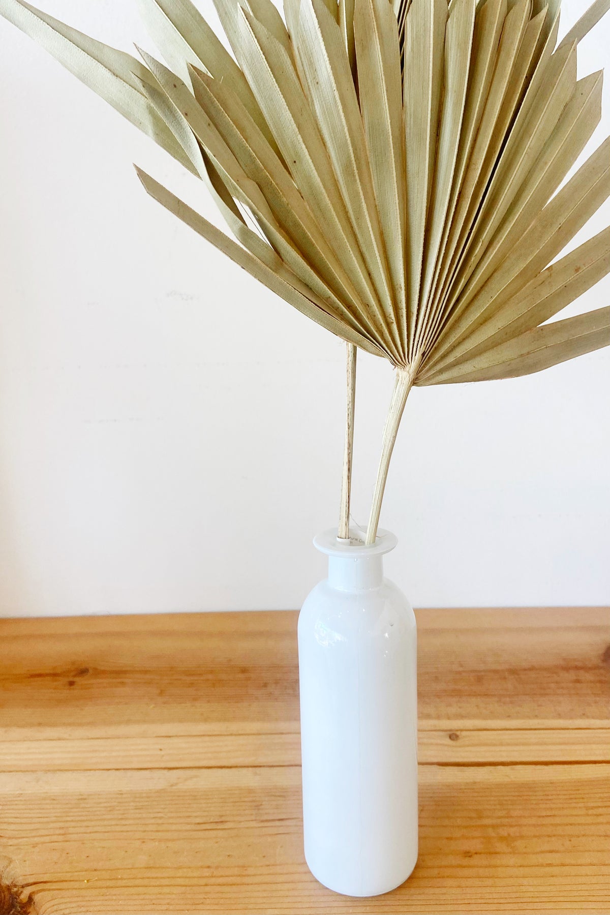 mode, clara medium vases