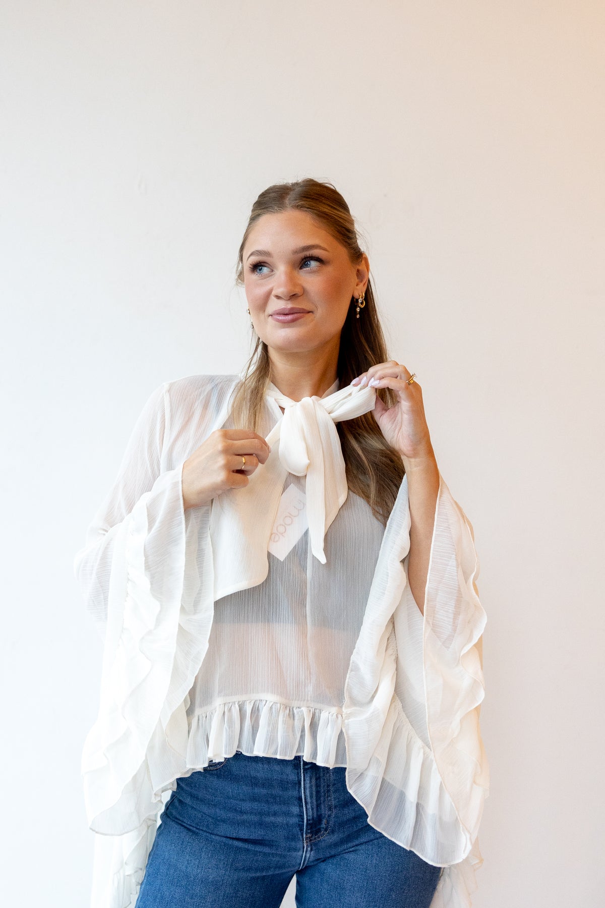 angel sheer ruffle blouse