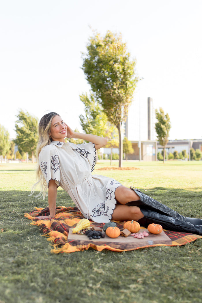mode, calista embroidered dress