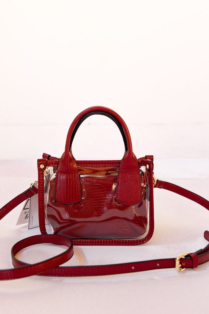 stacy clear satchel