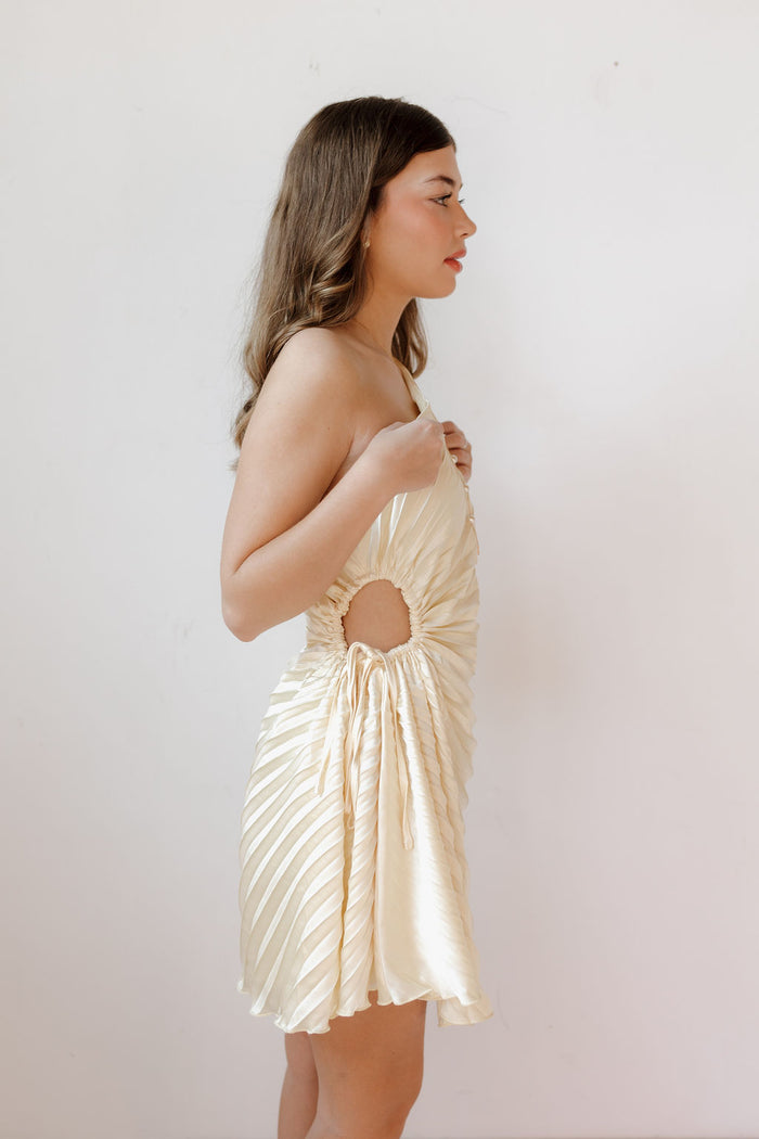 gisele pleated dress