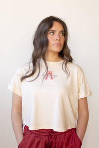 champagne wishes crop tee