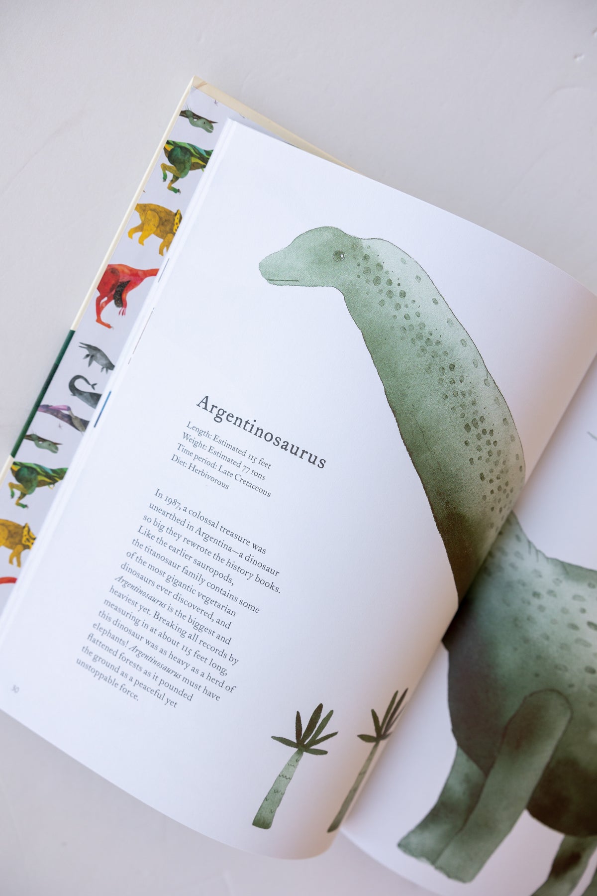 colorful world of dinosaurs book