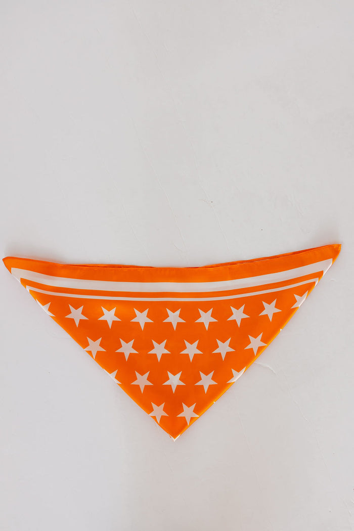 izzy star bandana scarf