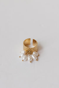 harbor ring