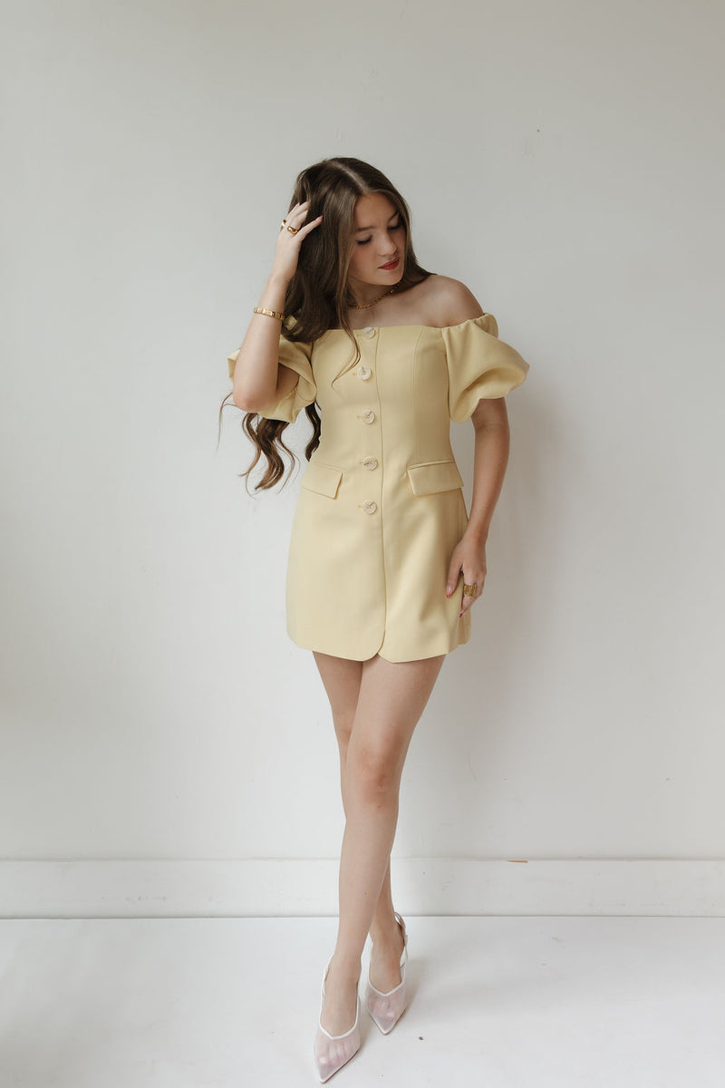 biviana dress
