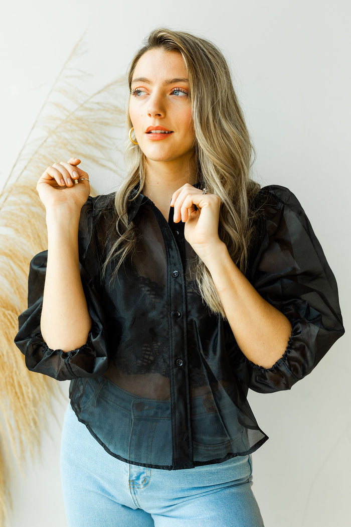 mode, organza balloon sleeve top