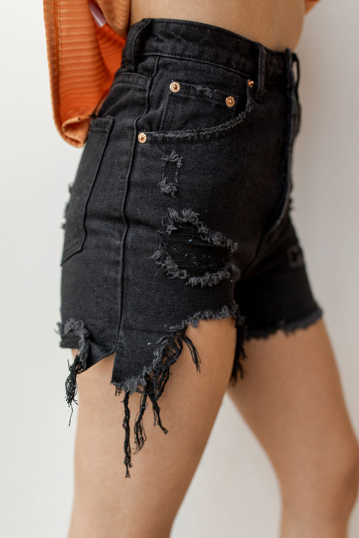 mode, Kelso destroyed high rise denim