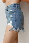 mode, main squeeze distressed shorts