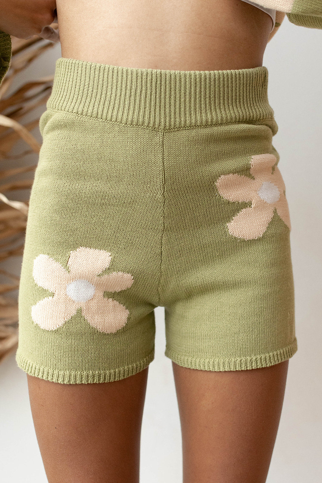 mode, that's so daisy set