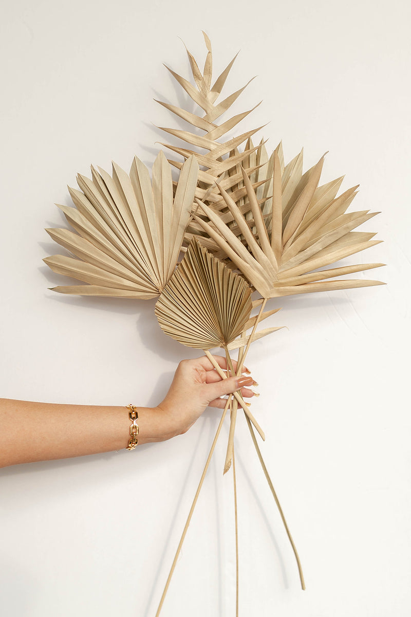 natural dried palm spear 2.0