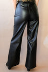 destiny vegan leather pants