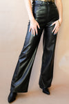 mode, destiny vegan leather pants