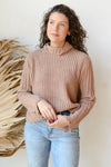 mode, the only one distressed turtleneck