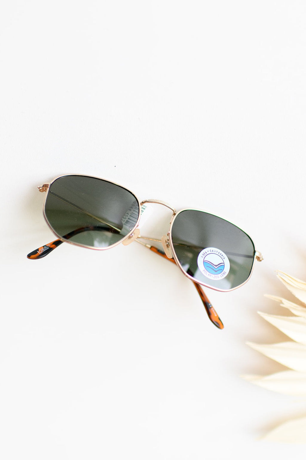 mode, penn sunglasses