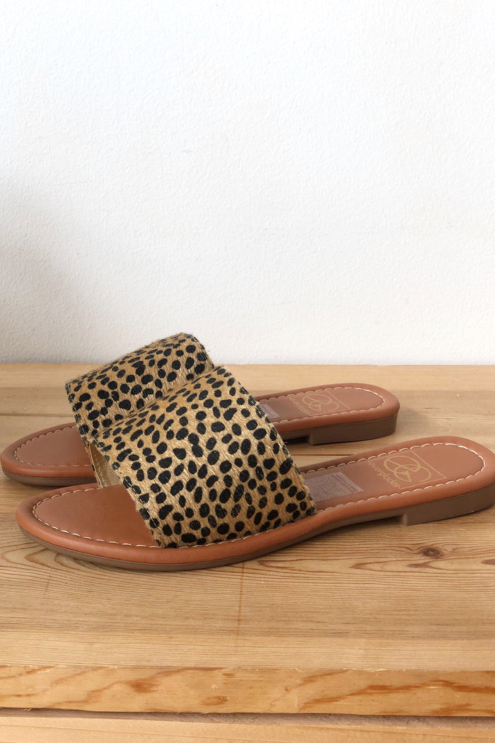 mode, cheetah print sandal
