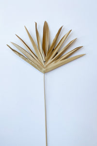 mode, dried buri palm lady finger pick
