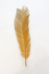 mode, long palm leaf