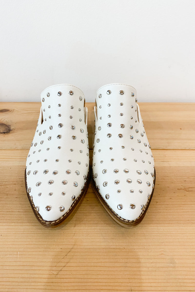 mode, isn't she lovely mule