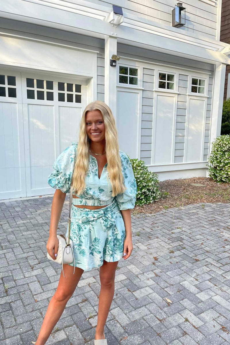 mode, roses in bloom top