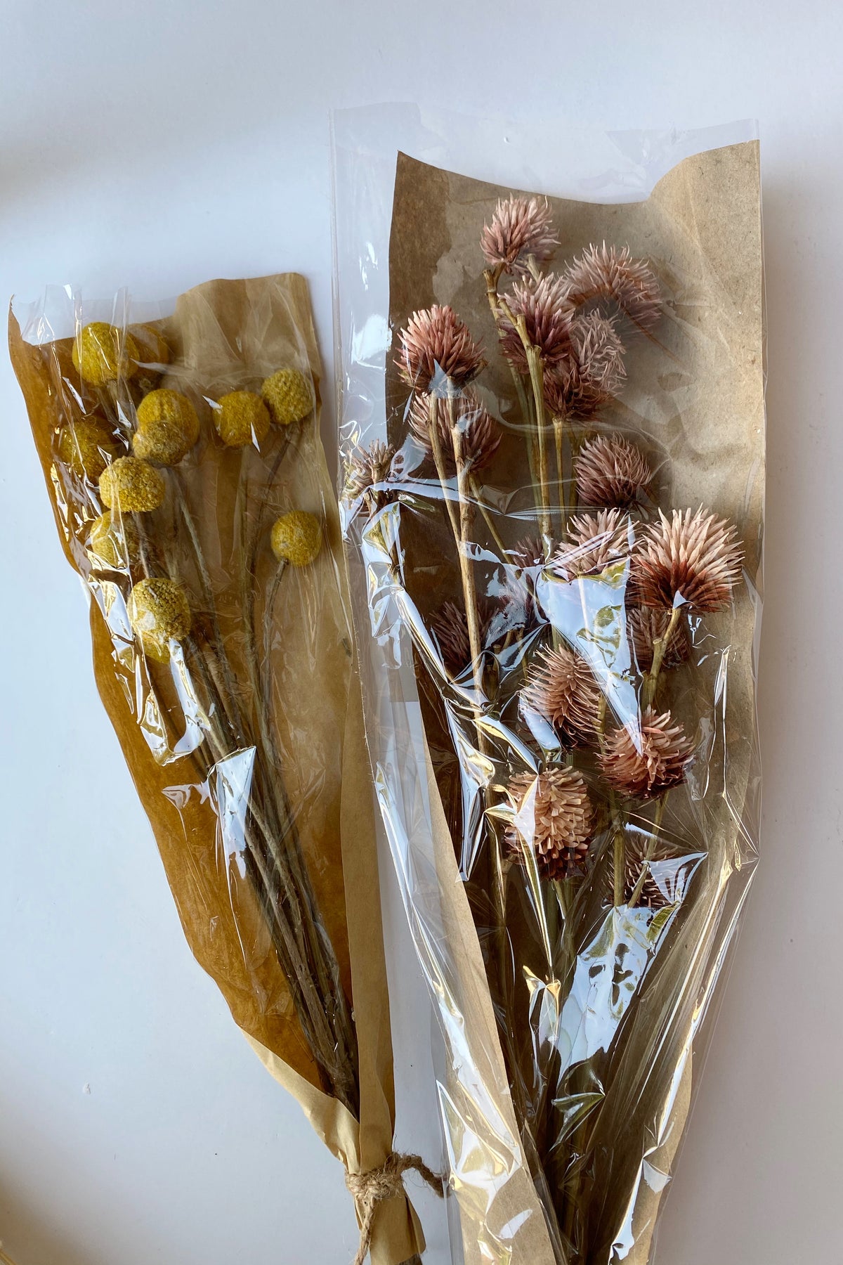 mode, dried natural platycanya bunch