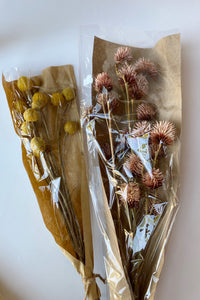 mode, dried natural platycanya bunch
