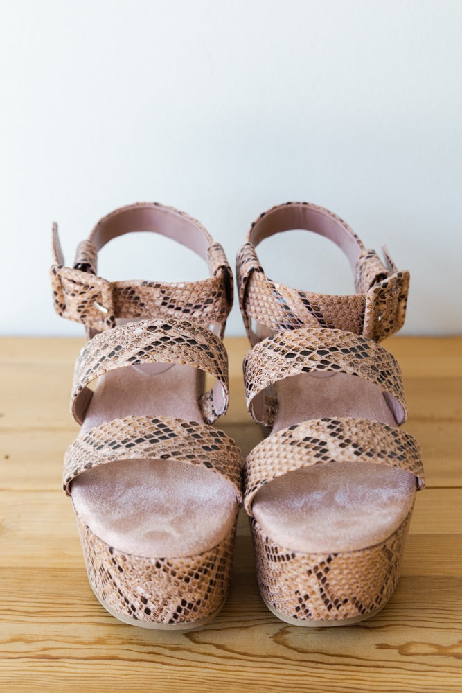 mode, step into faith platform