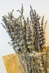mode, dried natural lavender bunch