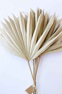 mode, dried natural palm bunch