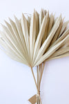 dried natural palm bunch