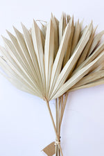 dried natural palm bunch