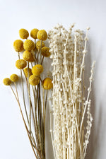 mode, Dried Natural Lion's Tail Bunch