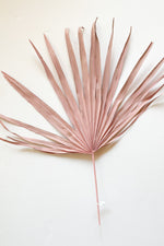 pink dried palm leaf