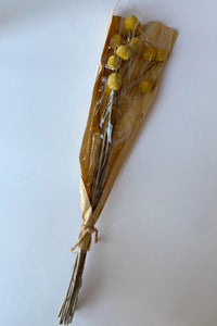 mode, 17-3/4"H Dried Natural Craspedia Bunch