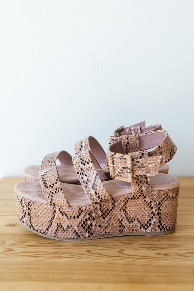 mode, step into faith platform