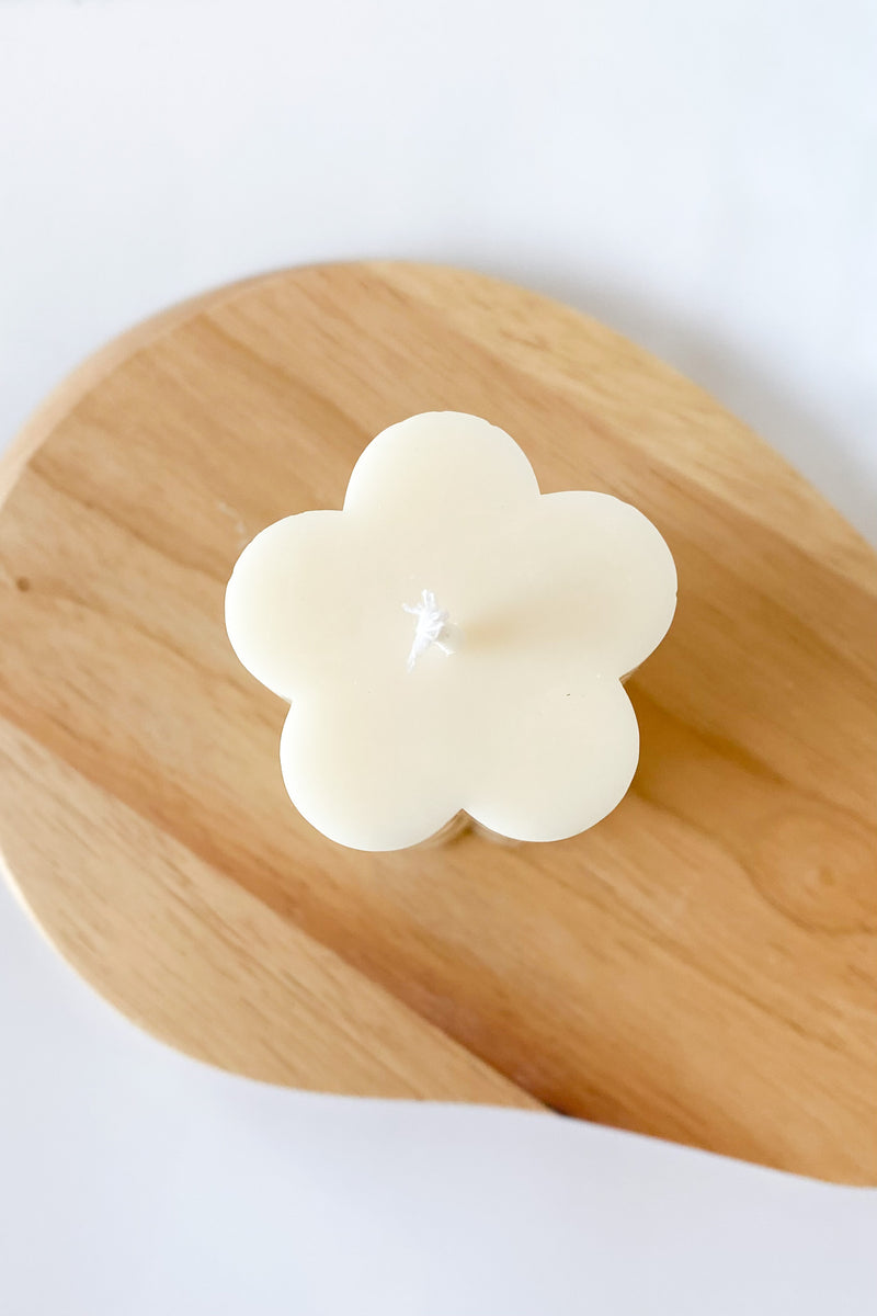 mode, daisy candle natural
