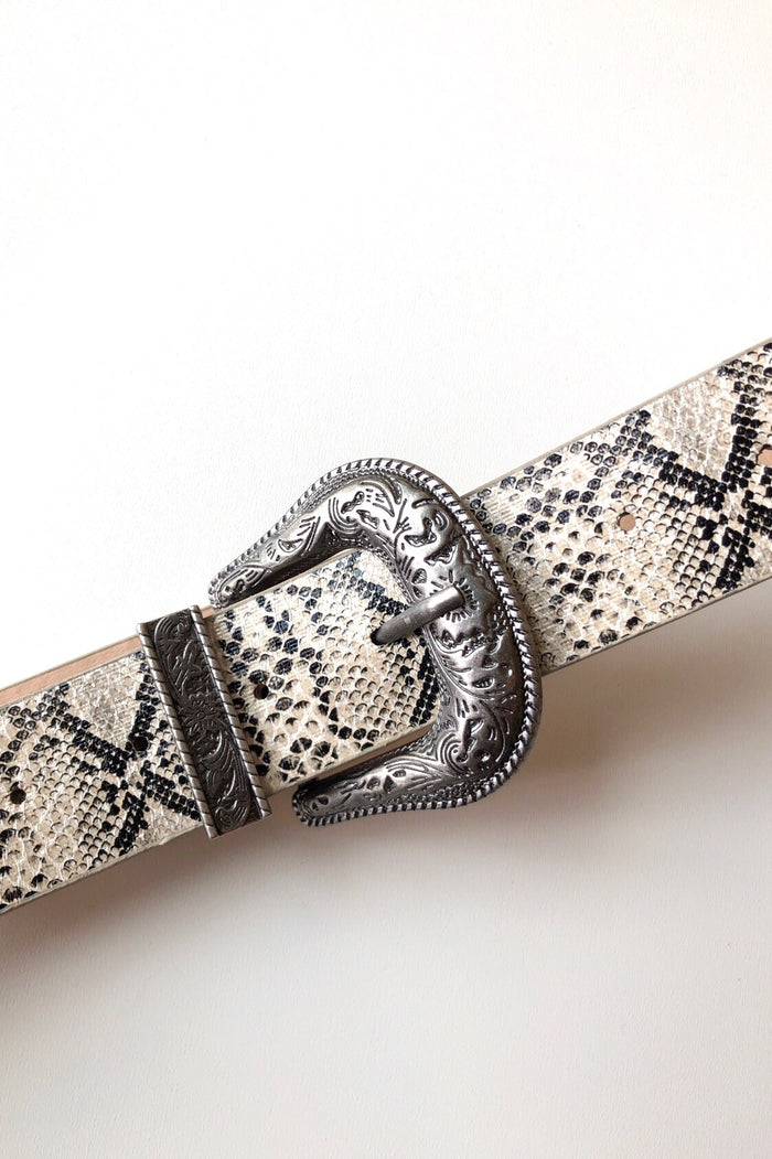 mode, sand dunes snakeskin belt