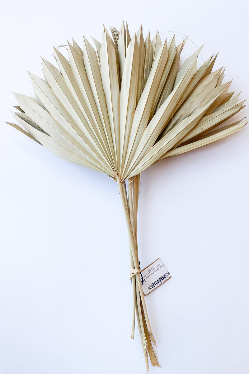 mode, dried natural palm bunch